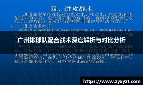 广州排球队配合战术深度解析与对比分析