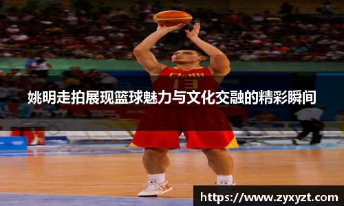 bsports必一体育